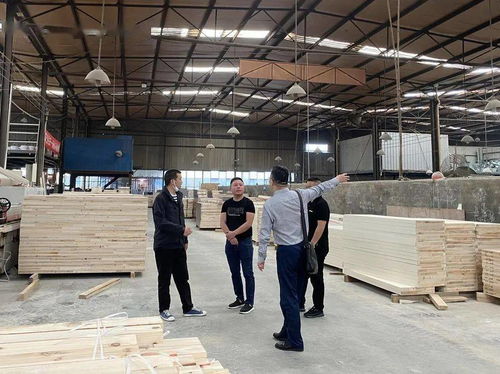 聚源镇 三查一监督 扎实做好环境保护工作