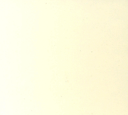 细木工三聚氰胺饰面板