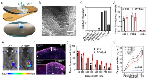 客户文献分享 if 14.612,基于酶催化的asp phe tyr三肽聚合反应癌症免疫疗
