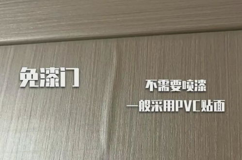 再买卧室门,我一定要问 20个问题 ,不是矫情,而是经验教训 免漆门 卧室门 原木门 复合门 实木门 密度板 门套 门锁 手机网易网