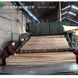 沧州市靠谱三聚氰胺贴面热压机厂家价格